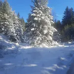 семеен кристал 3*