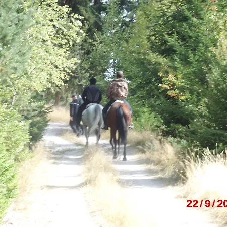 酒店 семеен кристал 3*