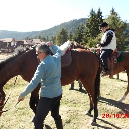 酒店 семеен кристал 斯莫梁