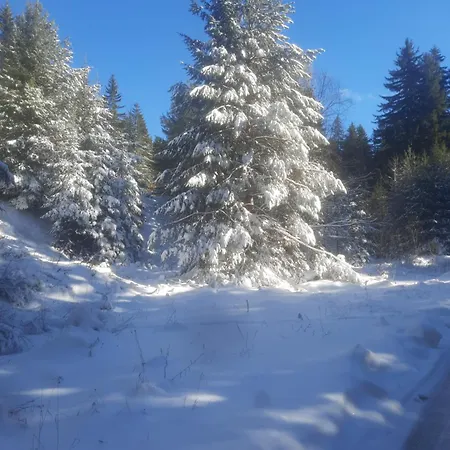 семеен кристал 3*