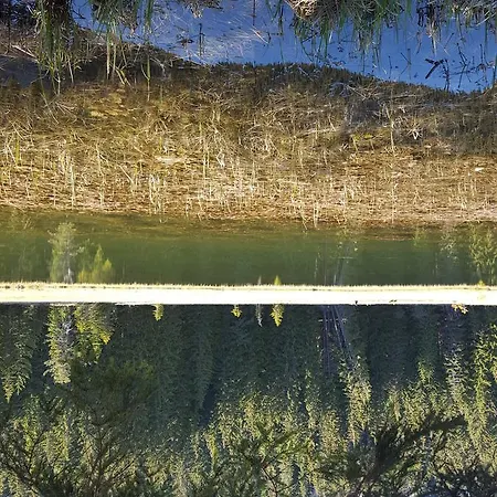 семеен кристал