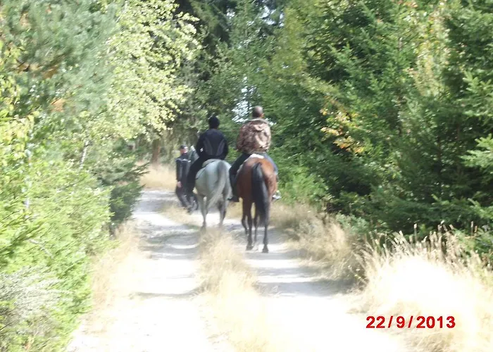 Hotel семеен кристал 3*