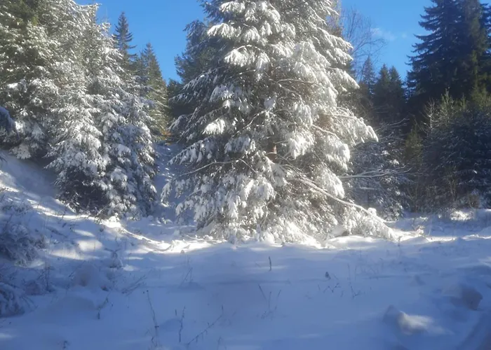 семеен кристал 3*